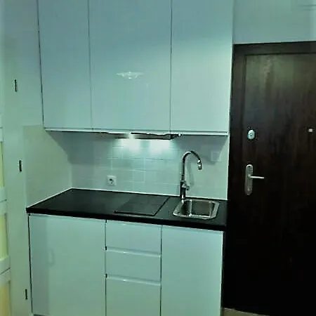 Uroczy Loft Apartment