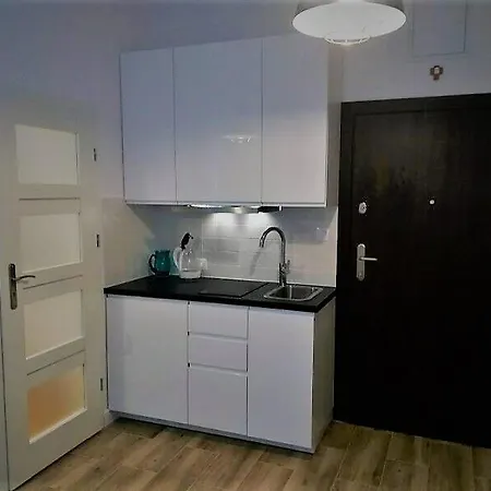 Uroczy Loft דירה קרקוב